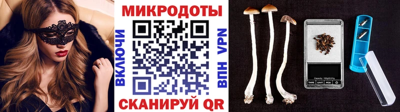Псилоцибиновые грибы Psilocybe Дыгулыбгей